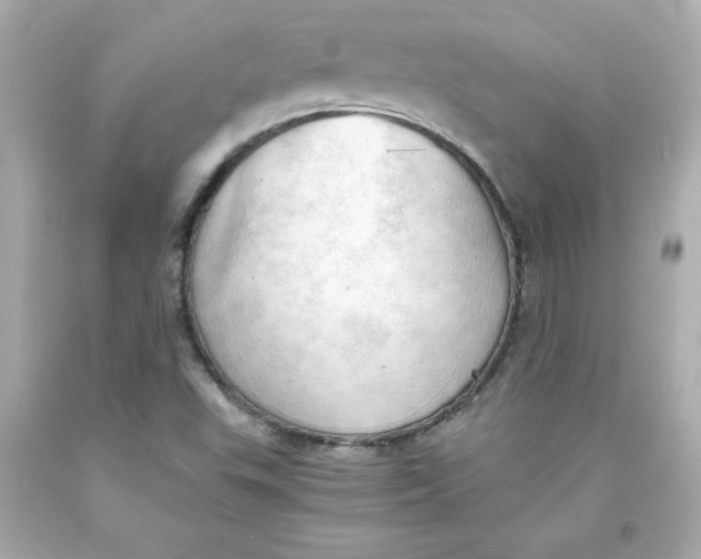 X0000091571503200709100945