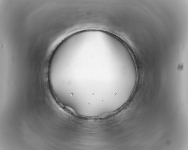 X0000091571504200709100945