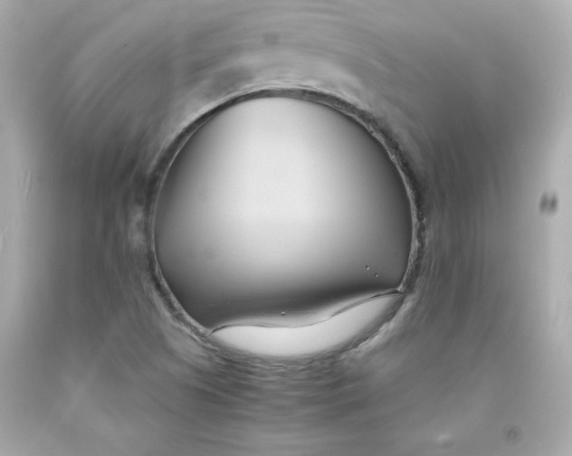 X0000091571505200709100945