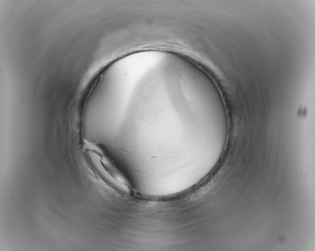 X0000091571506200709100945