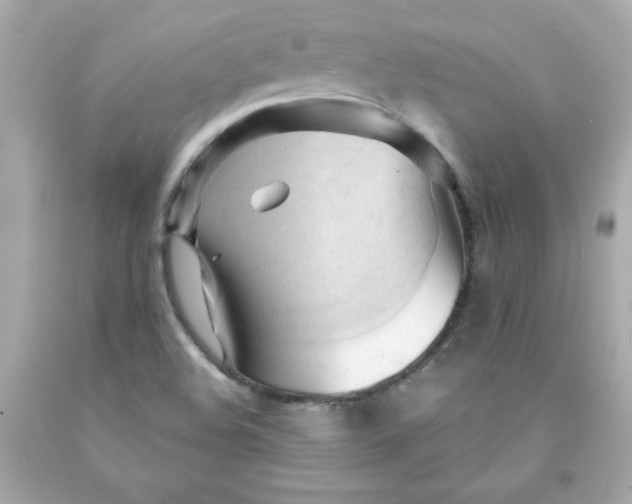 X0000091571508200709100945