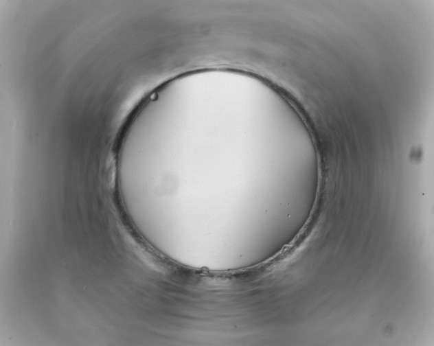 X0000091571509200709100945