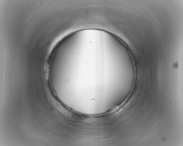 X0000091571510200709100945