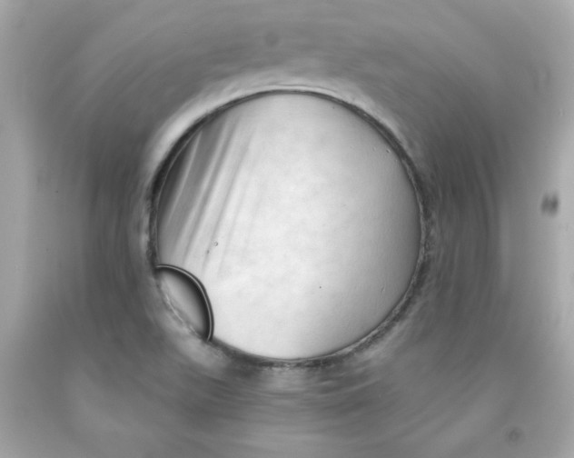 X0000091571511200709100945