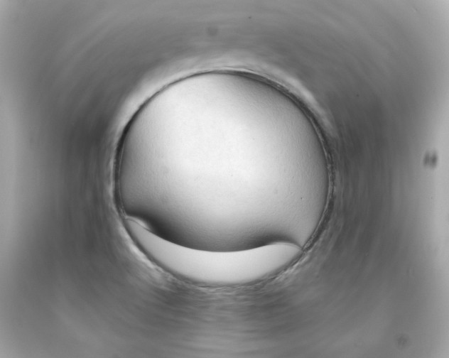 X0000091571512200709100945