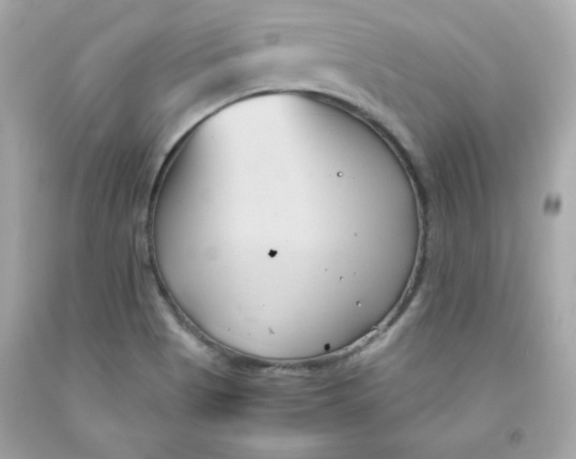 X0000091571513200709100945