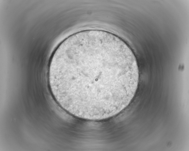 X0000091571514200709100945