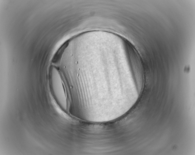 X0000091571515200709100945