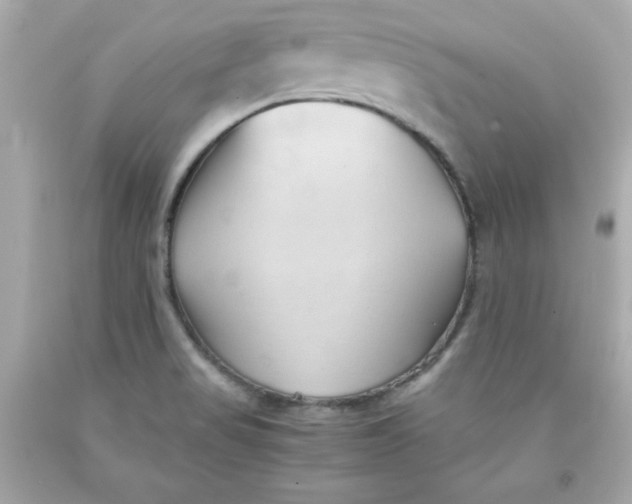 X0000091571517200709100945