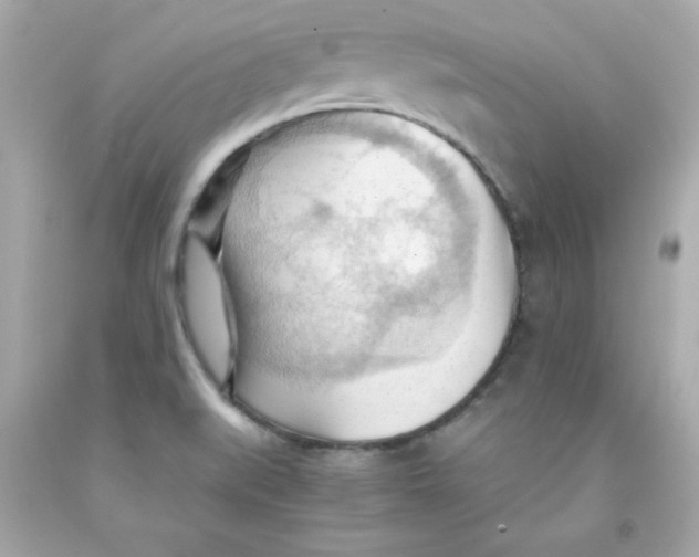 X0000091571519200709100945