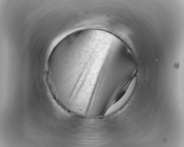 X0000091571520200709100945