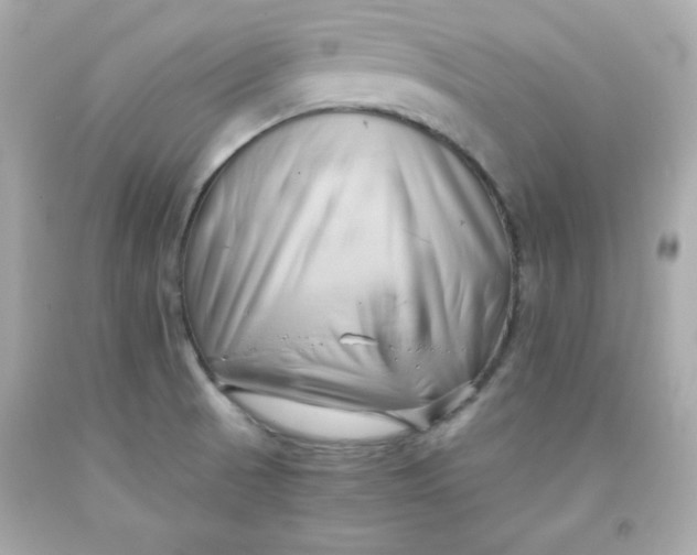 X0000091571521200709100945