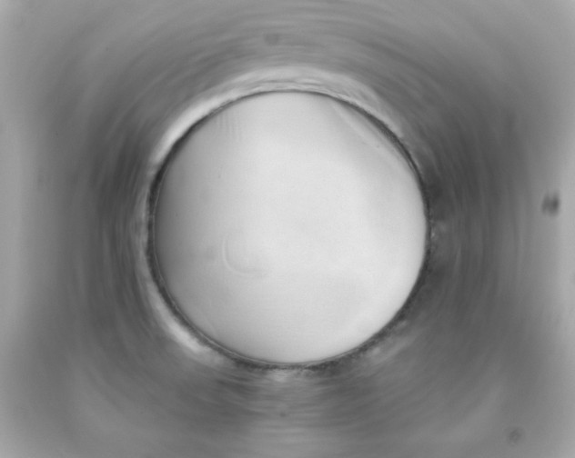 X0000091571523200709100945