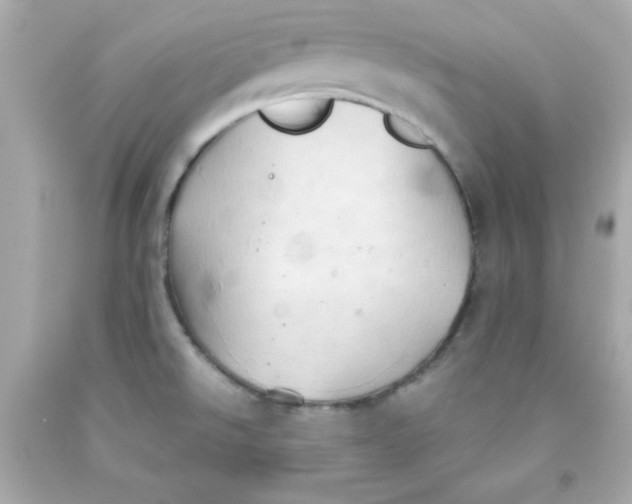 X0000091571526200709100945