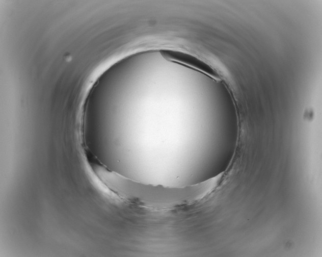 X0000091571528200709100945