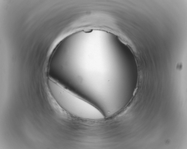 X0000091571530200709100945