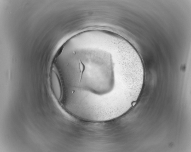 X0000091571533200709100946