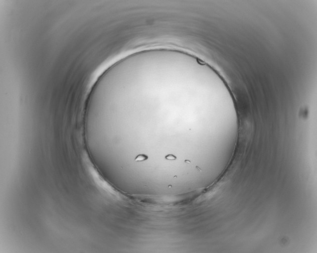 X0000091571534200709100946