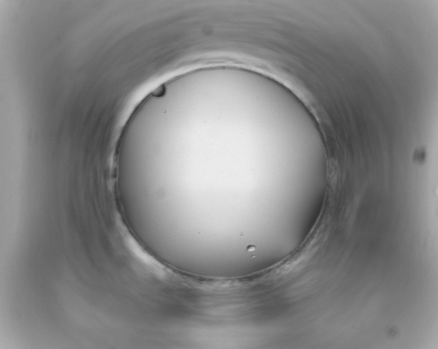 X0000091571535200709100946