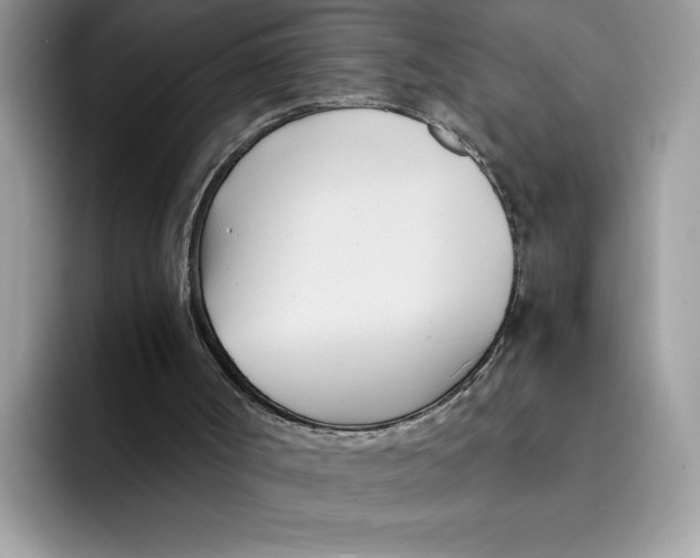 X0000091570002200709171106