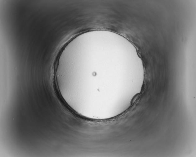 X0000091570005200709171106