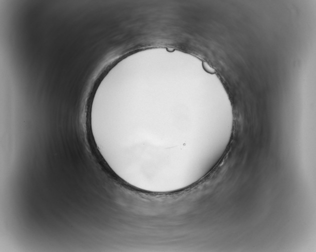 X0000091570006200709171106