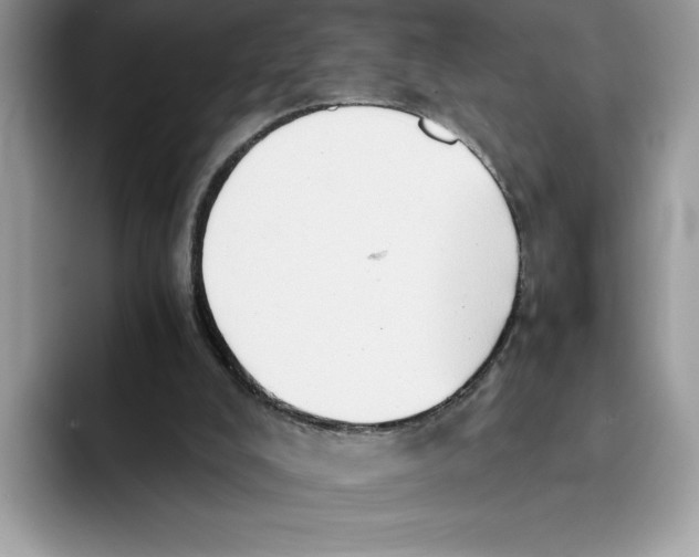 X0000091570008200709171106