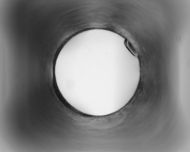 X0000091570011200709171106