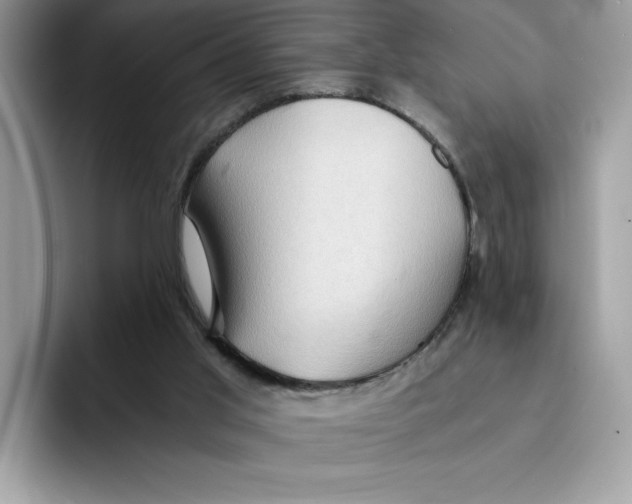 X0000091570013200709171106