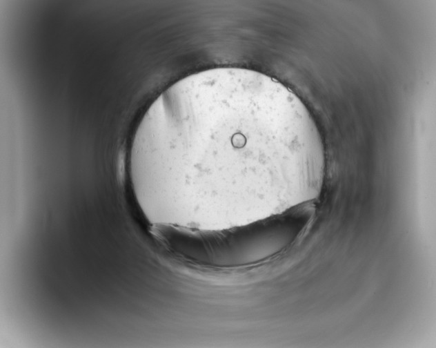 X0000091570019200709171106