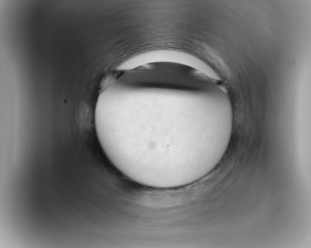 X0000091570025200709171106