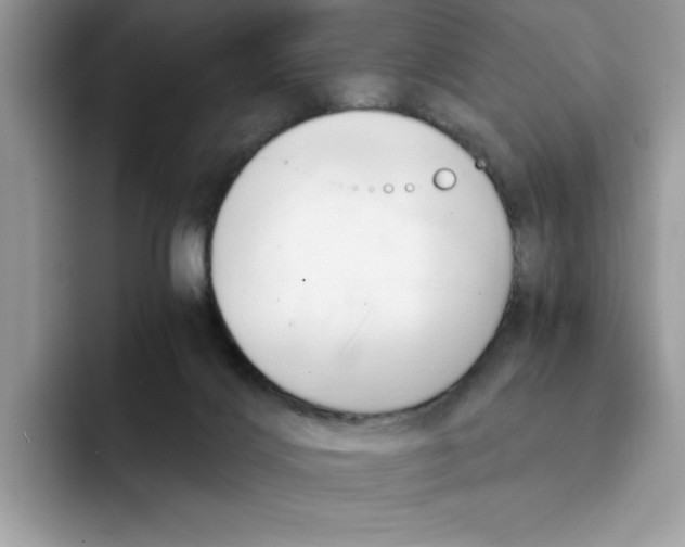 X0000091570028200709171106