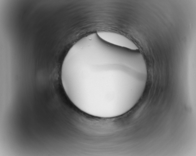 X0000091570032200709171106