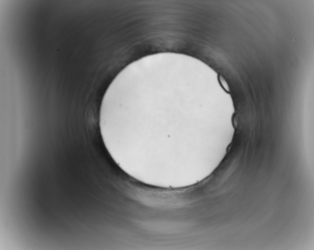 X0000091570040200709171105