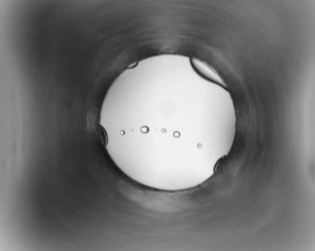 X0000091570044200709171105