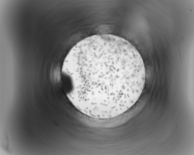 X0000091570046200709171105