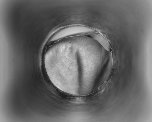 X0000091570056200709171105