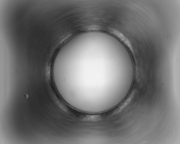 X0000091570057200709171105