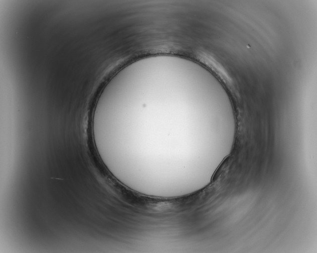 X0000091570058200709171105