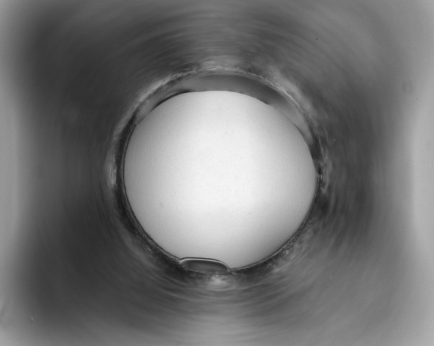 X0000091570060200709171105