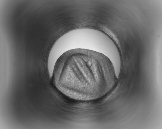 X0000091570065200709171105