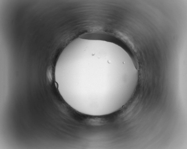 X0000091570069200709171105