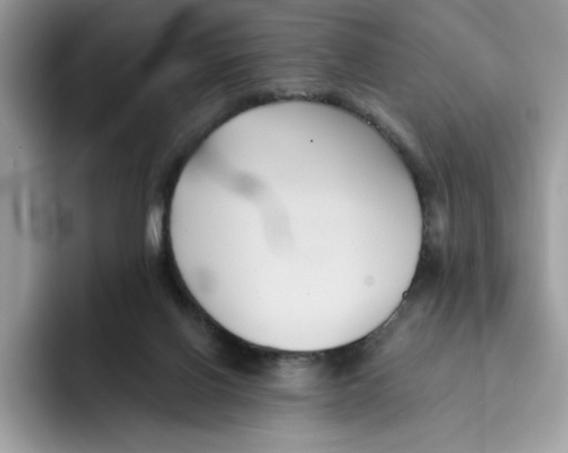 X0000091570070200709171105