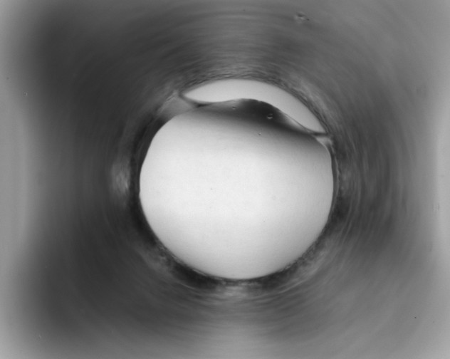 X0000091570072200709171105