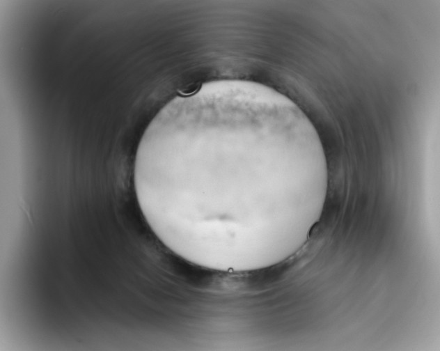 X0000091570078200709171105