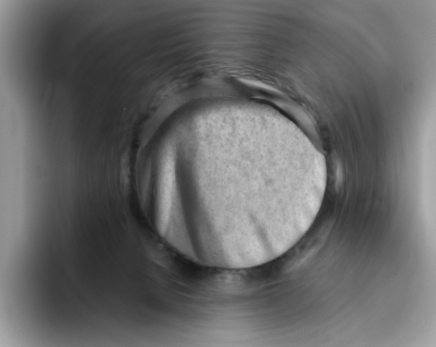 X0000091570080200709171105