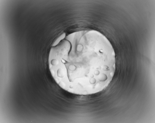 X0000091570082200709171105