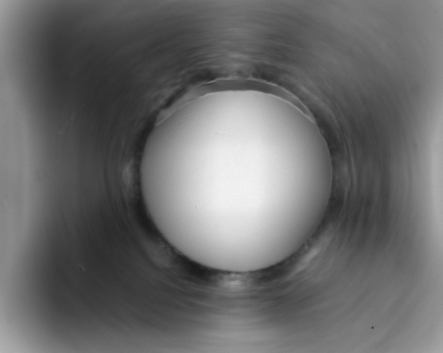 X0000091570088200709171105