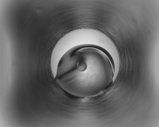 X0000091570092200709171105