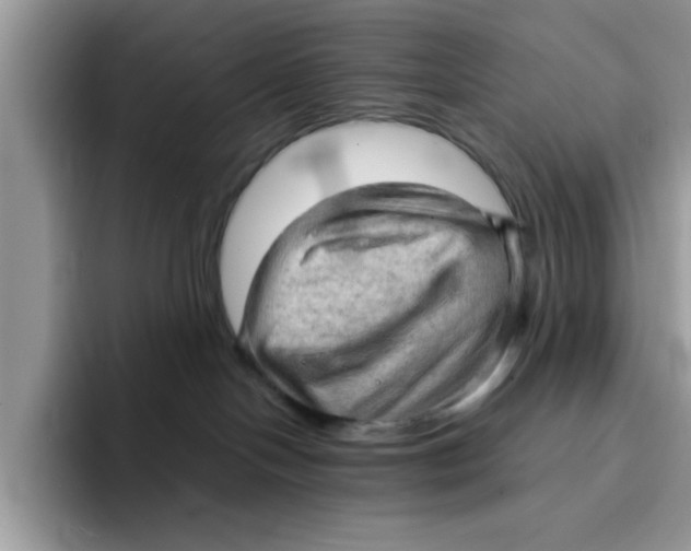 X0000091570094200709171105